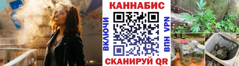 Конопля гибрид  Кораблино 